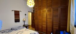 Emerald Hill Conservation Area (D9), Apartment #452116981